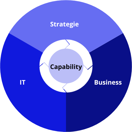 capabilities doelen op vaardigheden, middelen en processen die een organisatie toelaten haar strategische plannen te bereiken